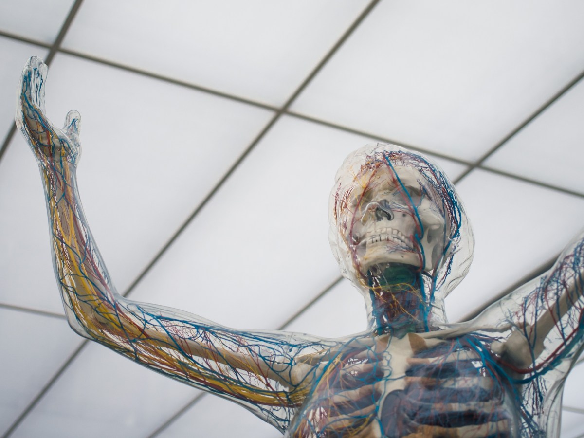 Знанието за нервната система – ключ към емоционална&nbsp;регулация